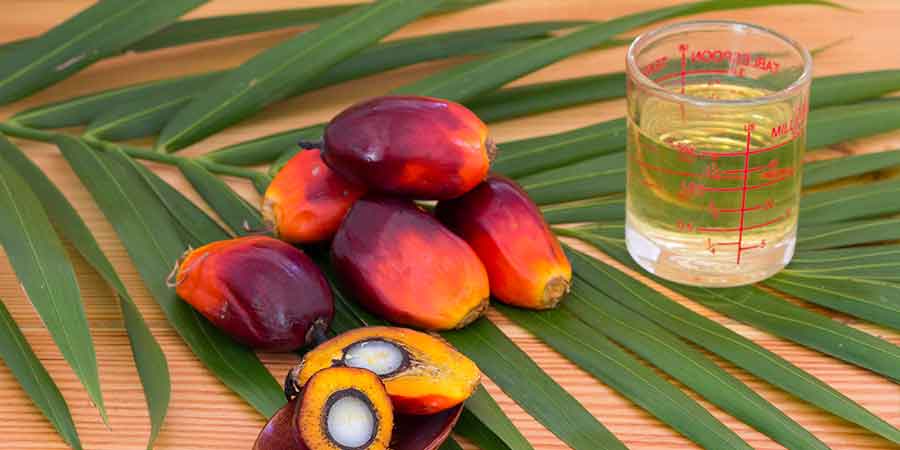 palm oil